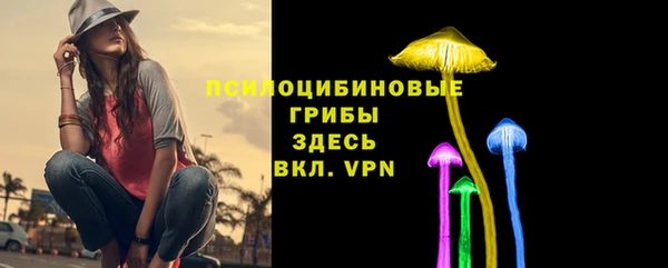 мяу мяу мука Алексин
