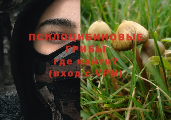 тгк Алзамай